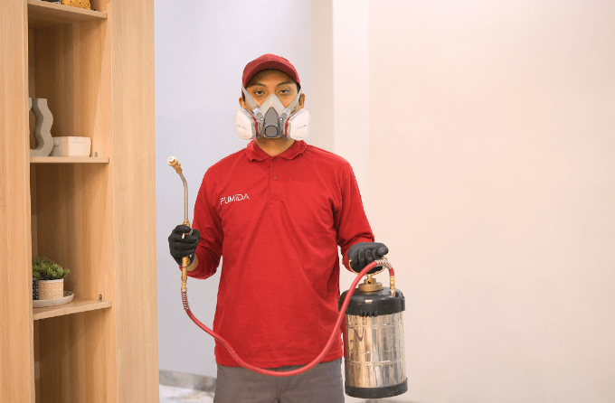 Kriteria Jasa Basmi Rayap Surabaya Terbaik untuk Rumah yang Bersih dan Nyaman